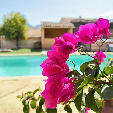 2 Hebergements - 10 Couchages - Parking, Piscine, Jacuzzi - Convivialite Roquebrune-sur Argens Exteriör bild