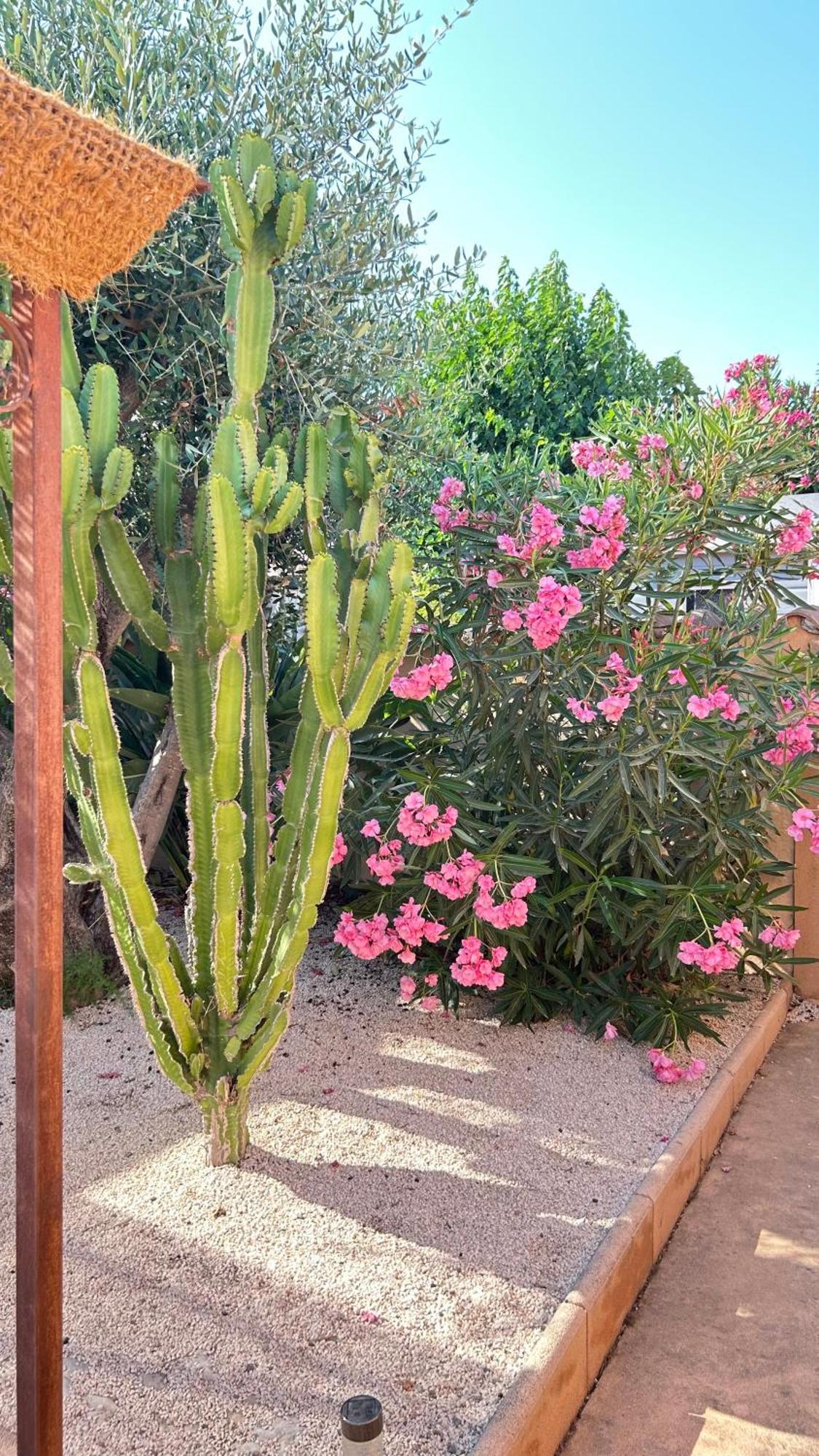 2 Hebergements - 10 Couchages - Parking, Piscine, Jacuzzi - Convivialite Roquebrune-sur Argens Exteriör bild