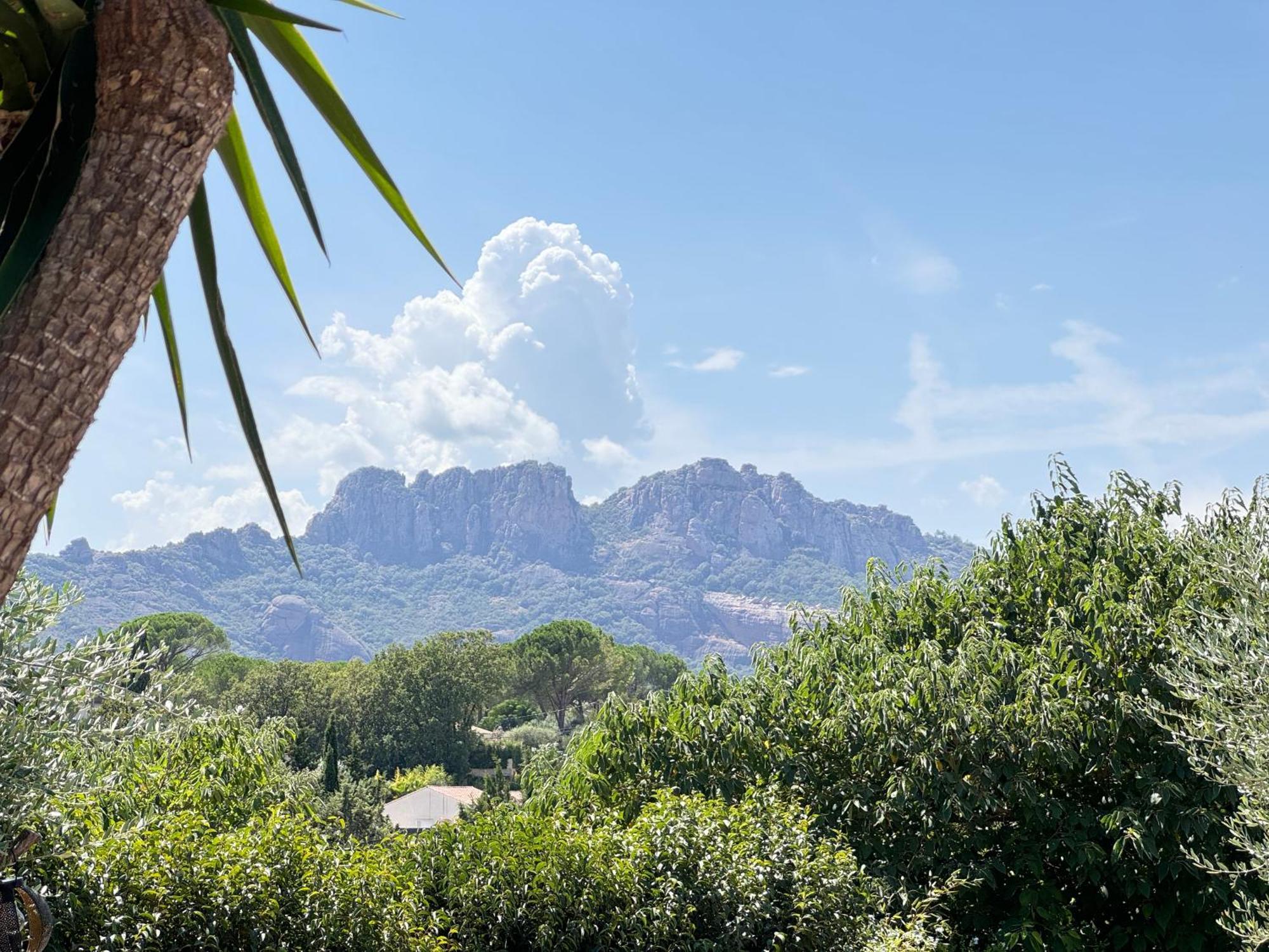 2 Hebergements - 10 Couchages - Parking, Piscine, Jacuzzi - Convivialite Roquebrune-sur Argens Exteriör bild